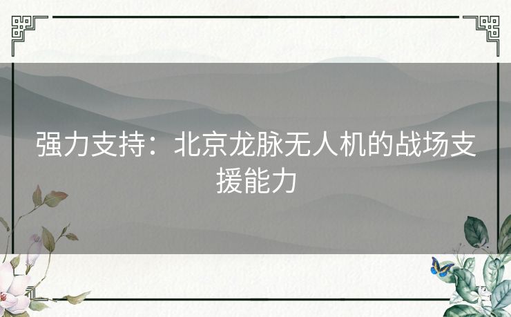 强力支持：北京龙脉无人机的战场支援能力