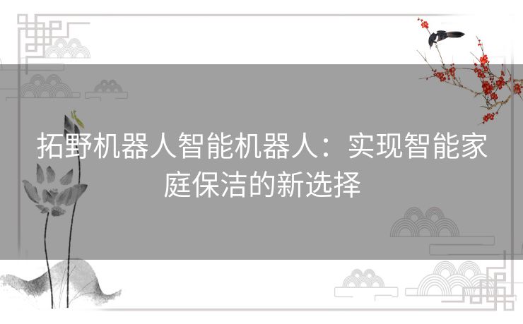 拓野机器人智能机器人：实现智能家庭保洁的新选择