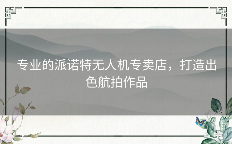 专业的派诺特无人机专卖店，打造出色航拍作品