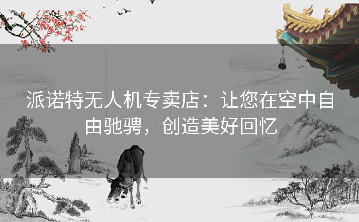 派诺特无人机专卖店：让您在空中自由驰骋，创造美好回忆