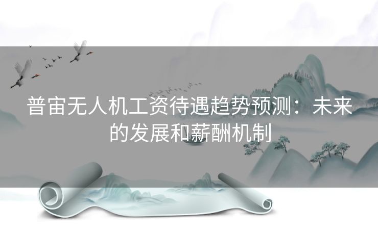 普宙无人机工资待遇趋势预测：未来的发展和薪酬机制