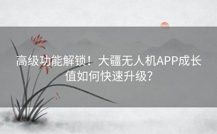 高级功能解锁！大疆无人机APP成长值如何快速升级？