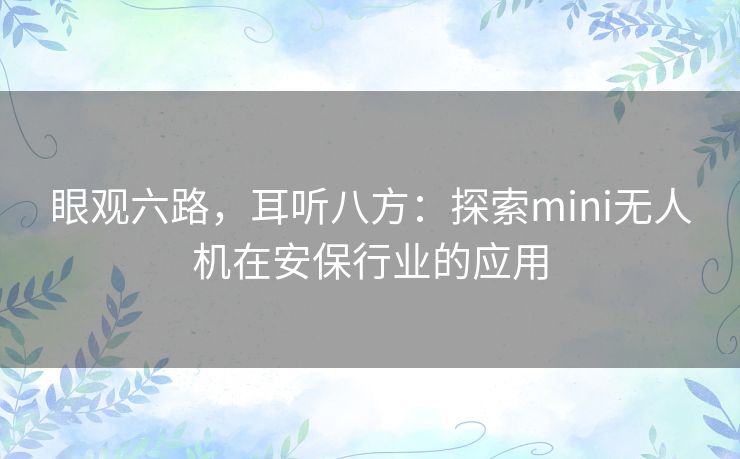 眼观六路，耳听八方：探索mini无人机在安保行业的应用