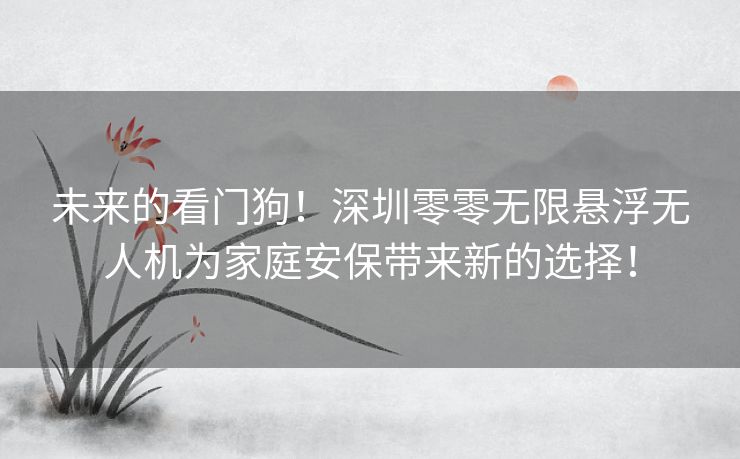 未来的看门狗！深圳零零无限悬浮无人机为家庭安保带来新的选择！