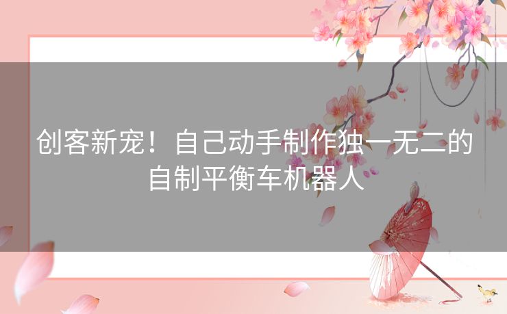 创客新宠！自己动手制作独一无二的自制平衡车机器人