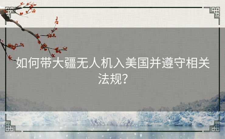 如何带大疆无人机入美国并遵守相关法规？