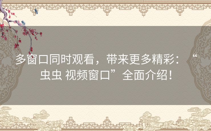 多窗口同时观看，带来更多精彩：“虫虫 视频窗口”全面介绍！