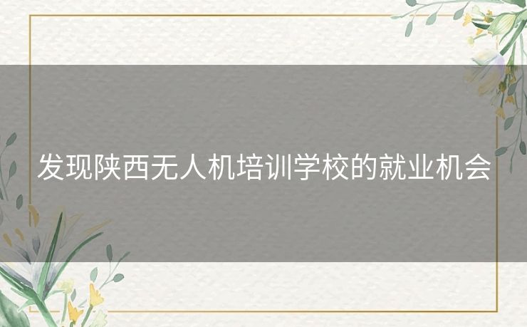 发现陕西无人机培训学校的就业机会