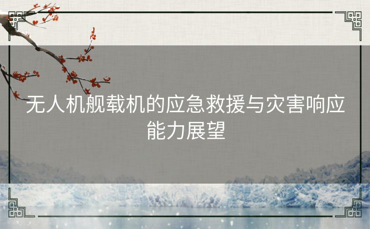 无人机舰载机的应急救援与灾害响应能力展望