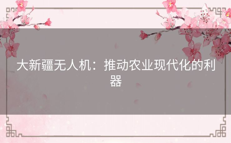 大新疆无人机：推动农业现代化的利器