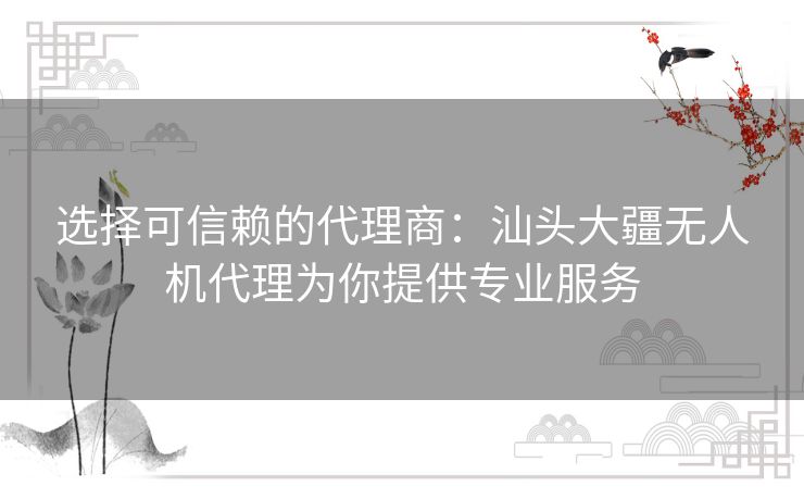 选择可信赖的代理商：汕头大疆无人机代理为你提供专业服务