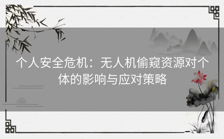 个人安全危机：无人机偷窥资源对个体的影响与应对策略