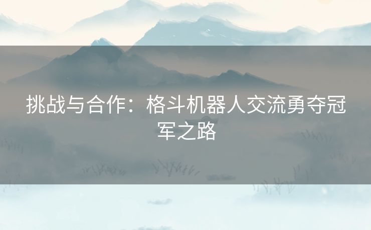 挑战与合作：格斗机器人交流勇夺冠军之路