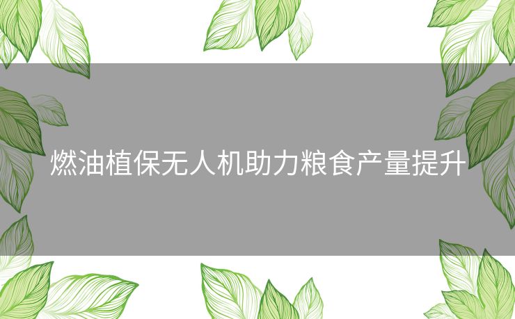 燃油植保无人机助力粮食产量提升