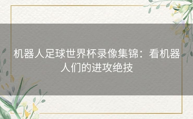 机器人足球世界杯录像集锦：看机器人们的进攻绝技