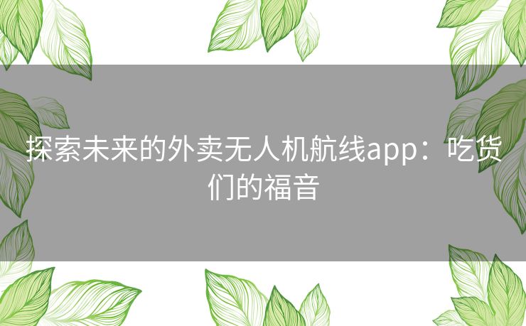 探索未来的外卖无人机航线app：吃货们的福音