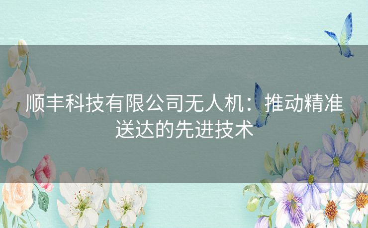 顺丰科技有限公司无人机：推动精准送达的先进技术