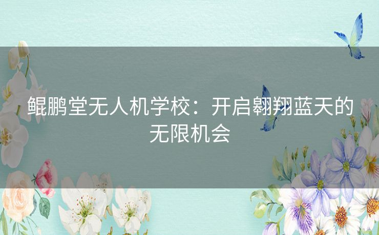 鲲鹏堂无人机学校：开启翱翔蓝天的无限机会