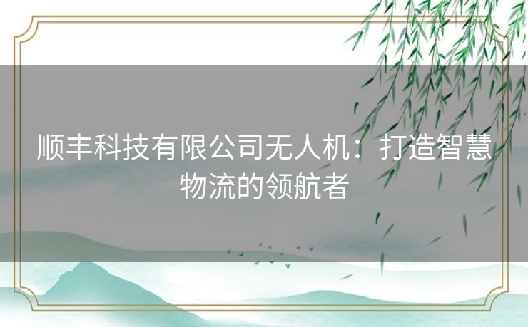 顺丰科技有限公司无人机：打造智慧物流的领航者