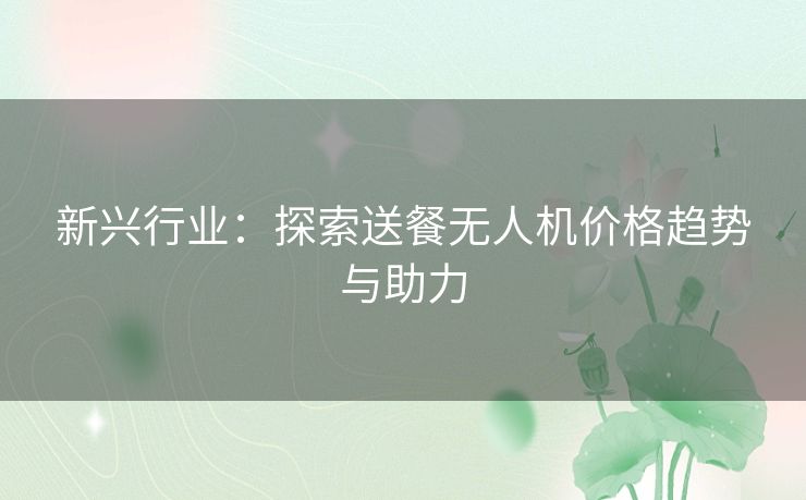 新兴行业：探索送餐无人机价格趋势与助力