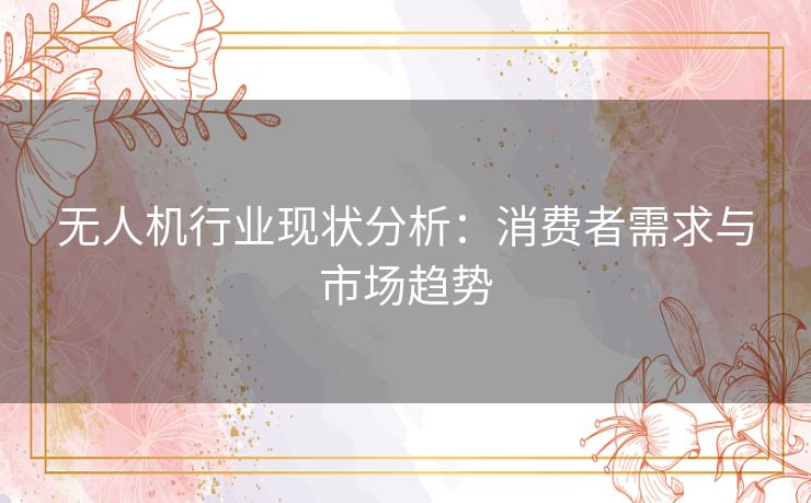 无人机行业现状分析：消费者需求与市场趋势
