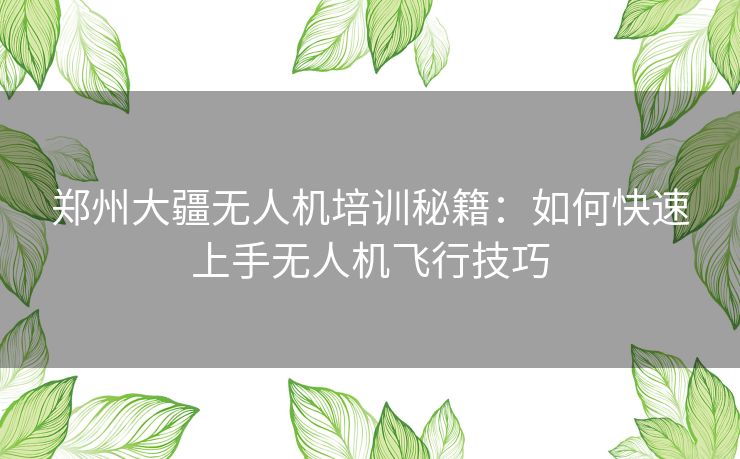 郑州大疆无人机培训秘籍：如何快速上手无人机飞行技巧