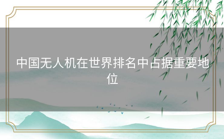 中国无人机在世界排名中占据重要地位