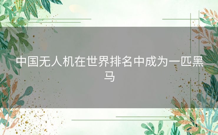 中国无人机在世界排名中成为一匹黑马