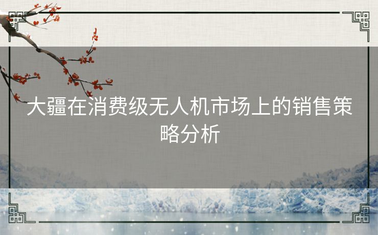 大疆在消费级无人机市场上的销售策略分析
