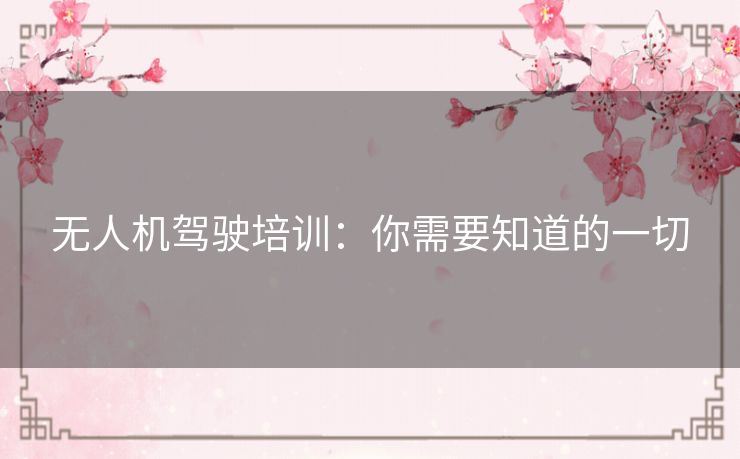 无人机驾驶培训：你需要知道的一切