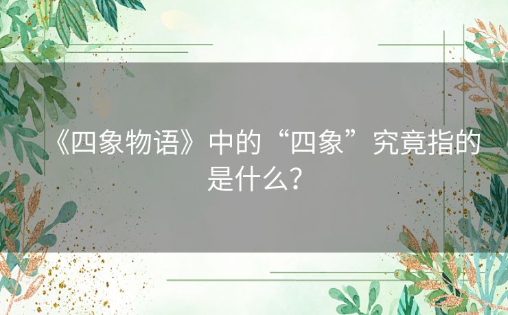 《四象物语》中的“四象”究竟指的是什么？