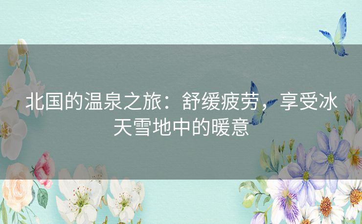 北国的温泉之旅：舒缓疲劳，享受冰天雪地中的暖意