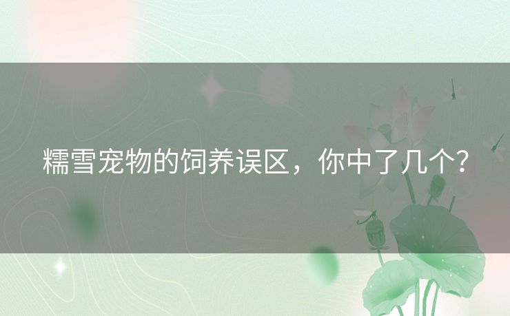 糯雪宠物的饲养误区，你中了几个？