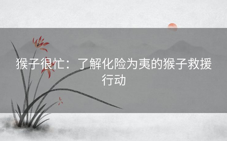 猴子很忙：了解化险为夷的猴子救援行动