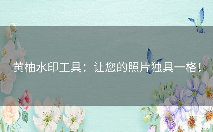 黄柚水印工具：让您的照片独具一格！
