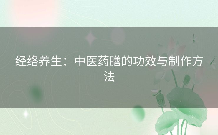 经络养生：中医药膳的功效与制作方法