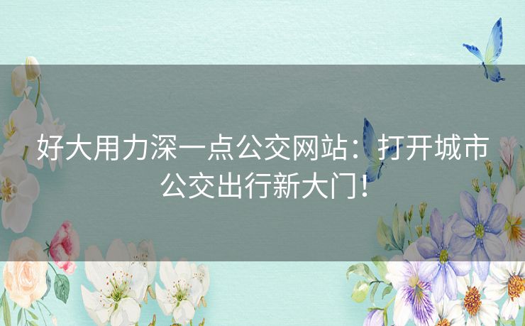 好大用力深一点公交网站：打开城市公交出行新大门！