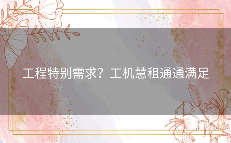 工程特别需求？工机慧租通通满足