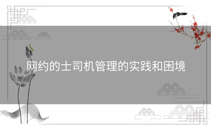 网约的士司机管理的实践和困境