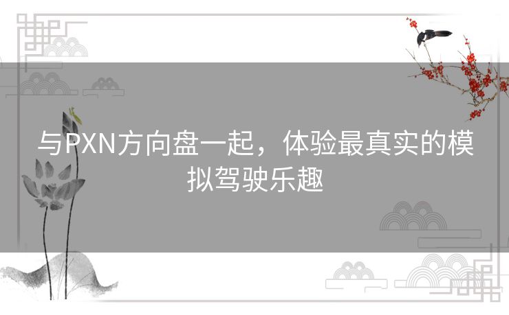 与PXN方向盘一起，体验最真实的模拟驾驶乐趣