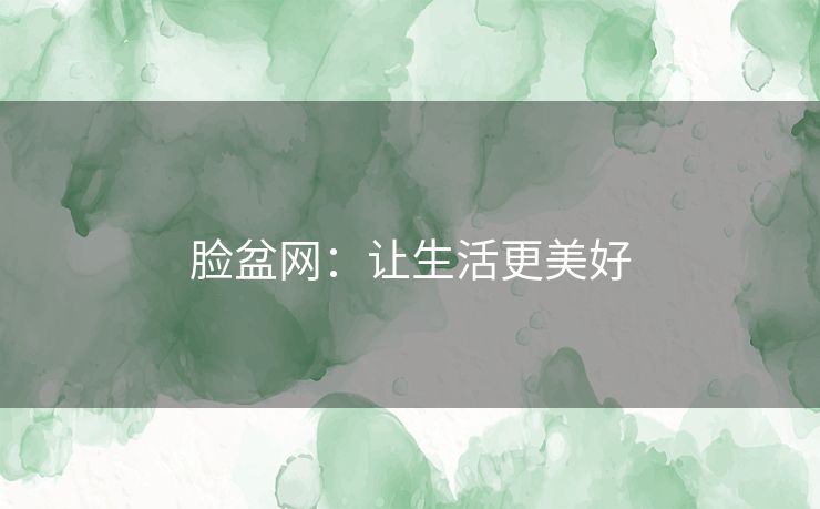 脸盆网：让生活更美好