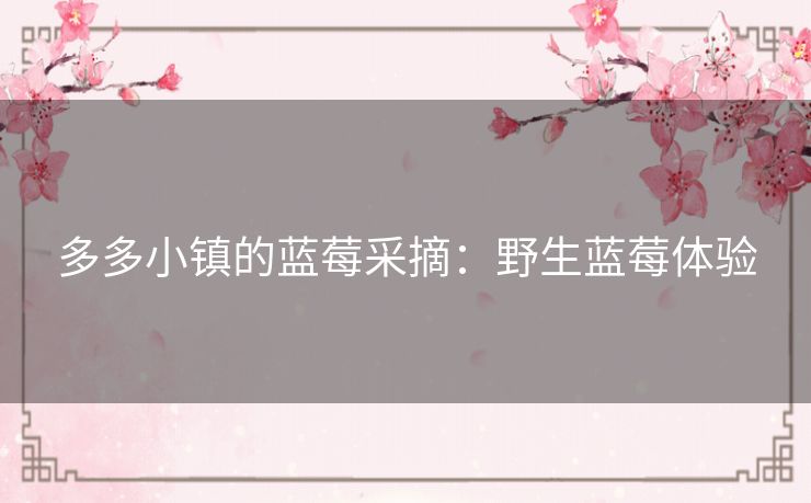 多多小镇的蓝莓采摘：野生蓝莓体验
