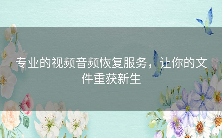 专业的视频音频恢复服务，让你的文件重获新生