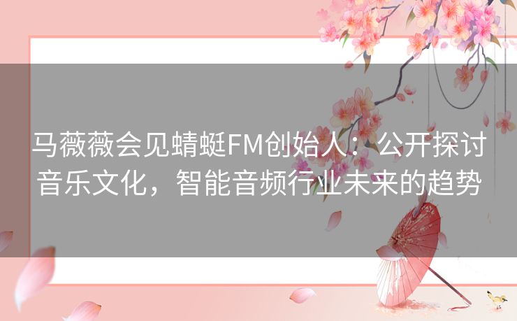 马薇薇会见蜻蜓FM创始人：公开探讨音乐文化，智能音频行业未来的趋势