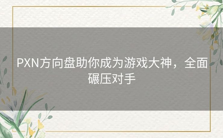 PXN方向盘助你成为游戏大神，全面碾压对手
