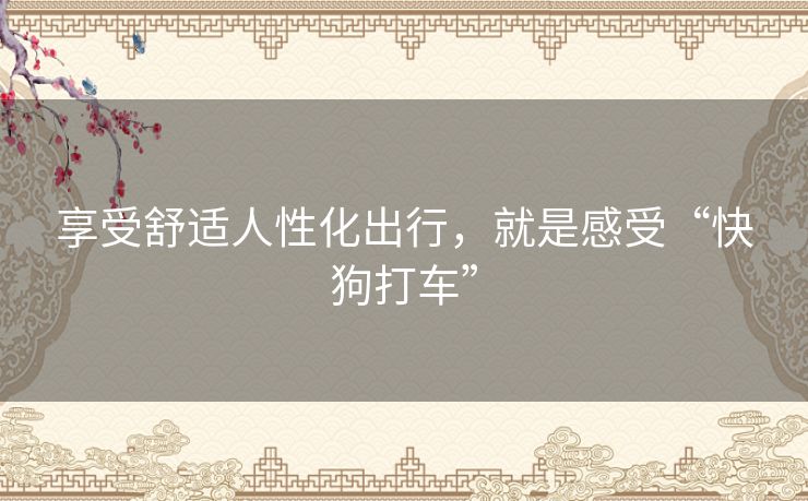 享受舒适人性化出行，就是感受“快狗打车”