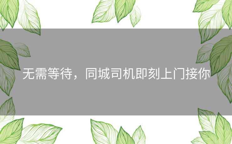 无需等待，同城司机即刻上门接你
