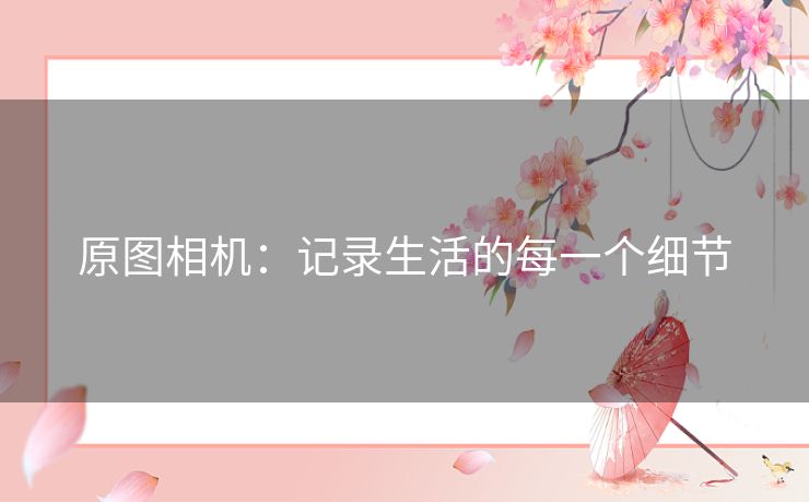 原图相机：记录生活的每一个细节