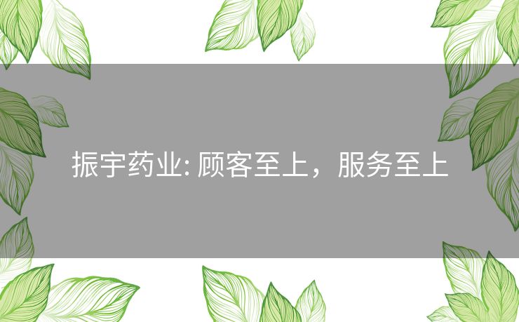 振宇药业: 顾客至上，服务至上