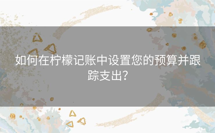 如何在柠檬记账中设置您的预算并跟踪支出？